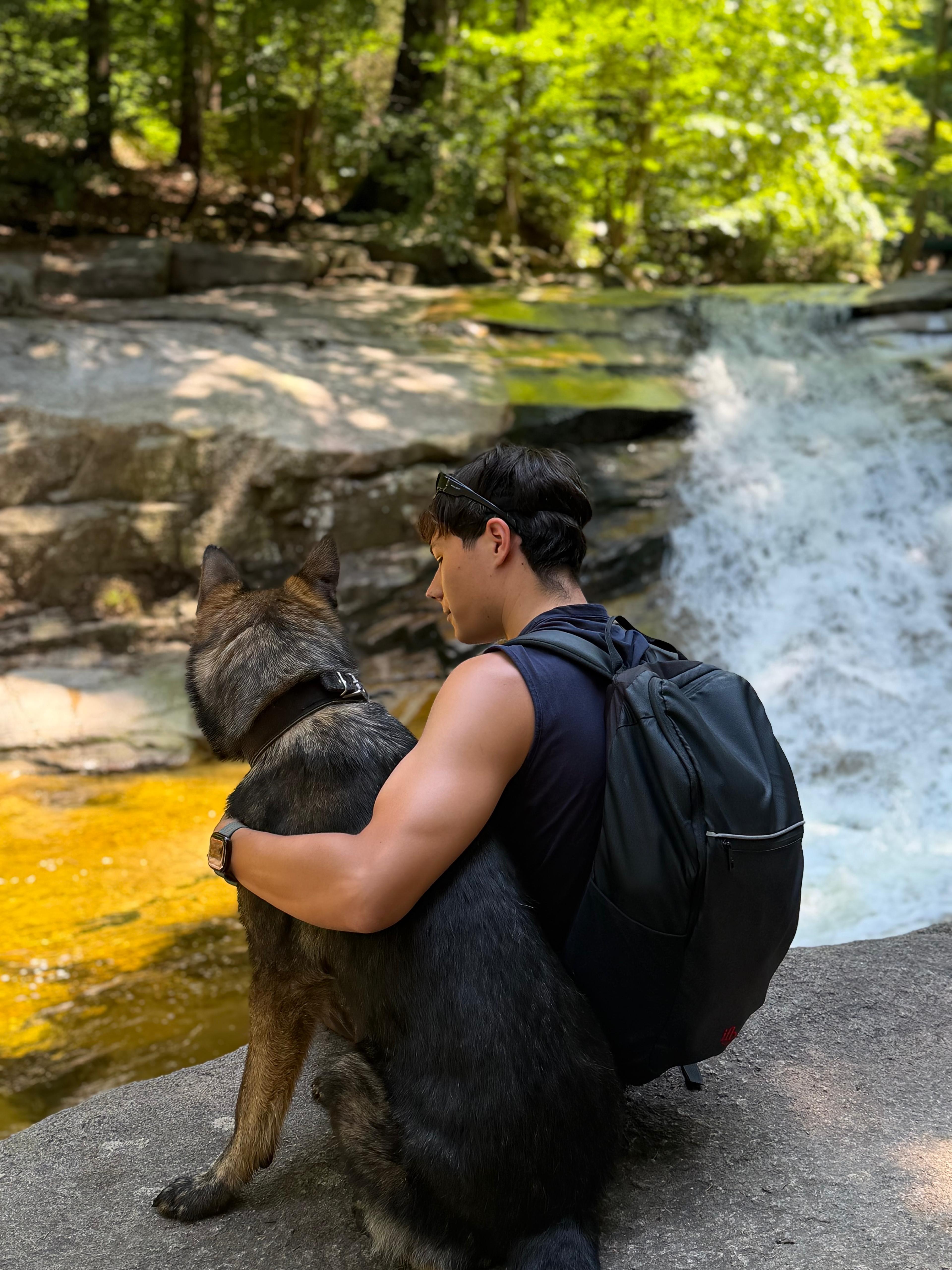 Was muss mit? Die Packliste für Wanderungen mit Hund.