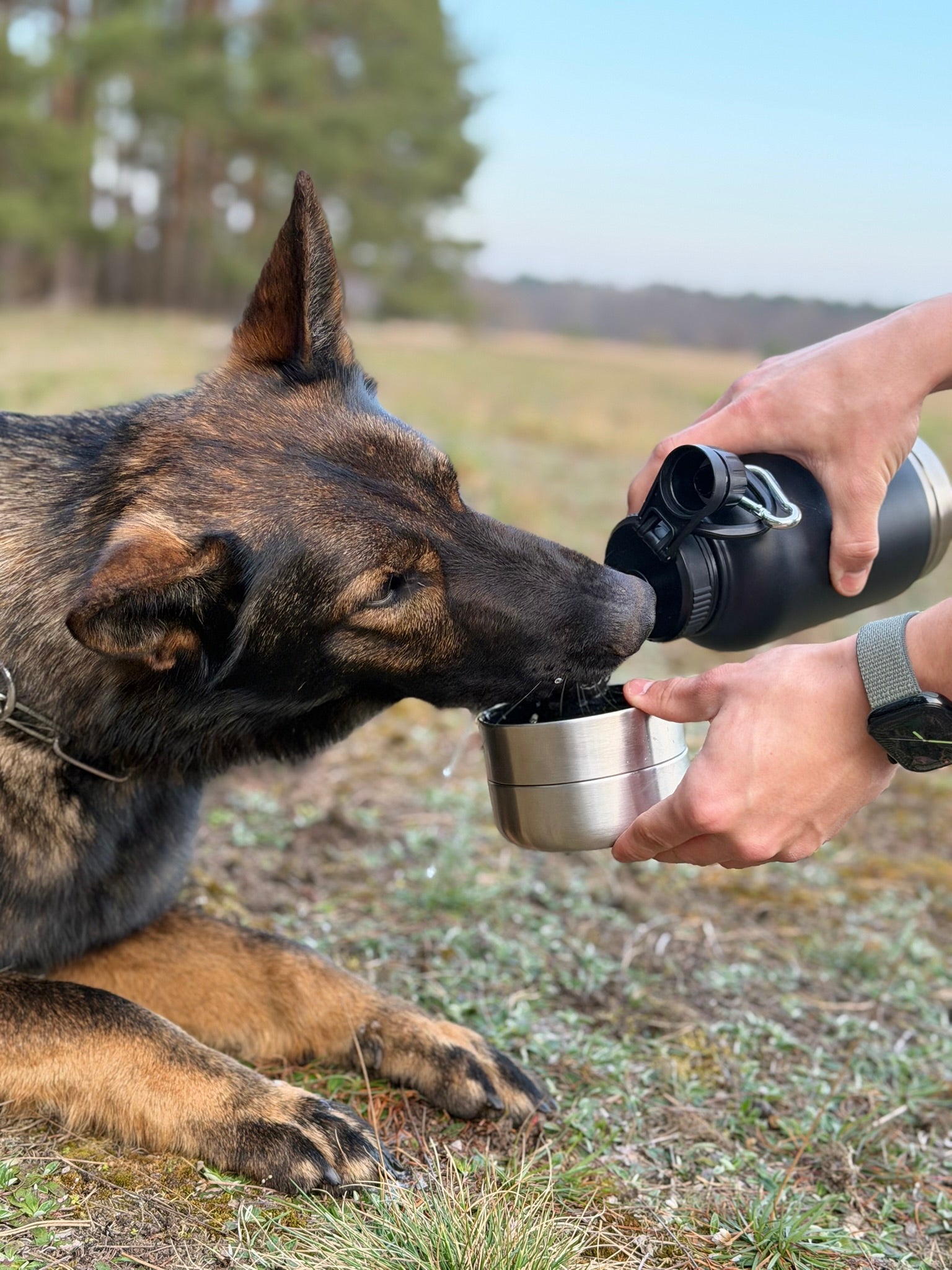Wie viel Wasser braucht dein Hund?