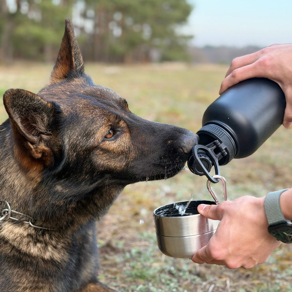 Pawtainer Companion