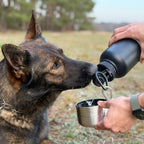 Pawtainer Companion