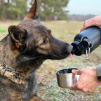 Pawtainer Companion