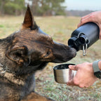 Pawtainer Companion