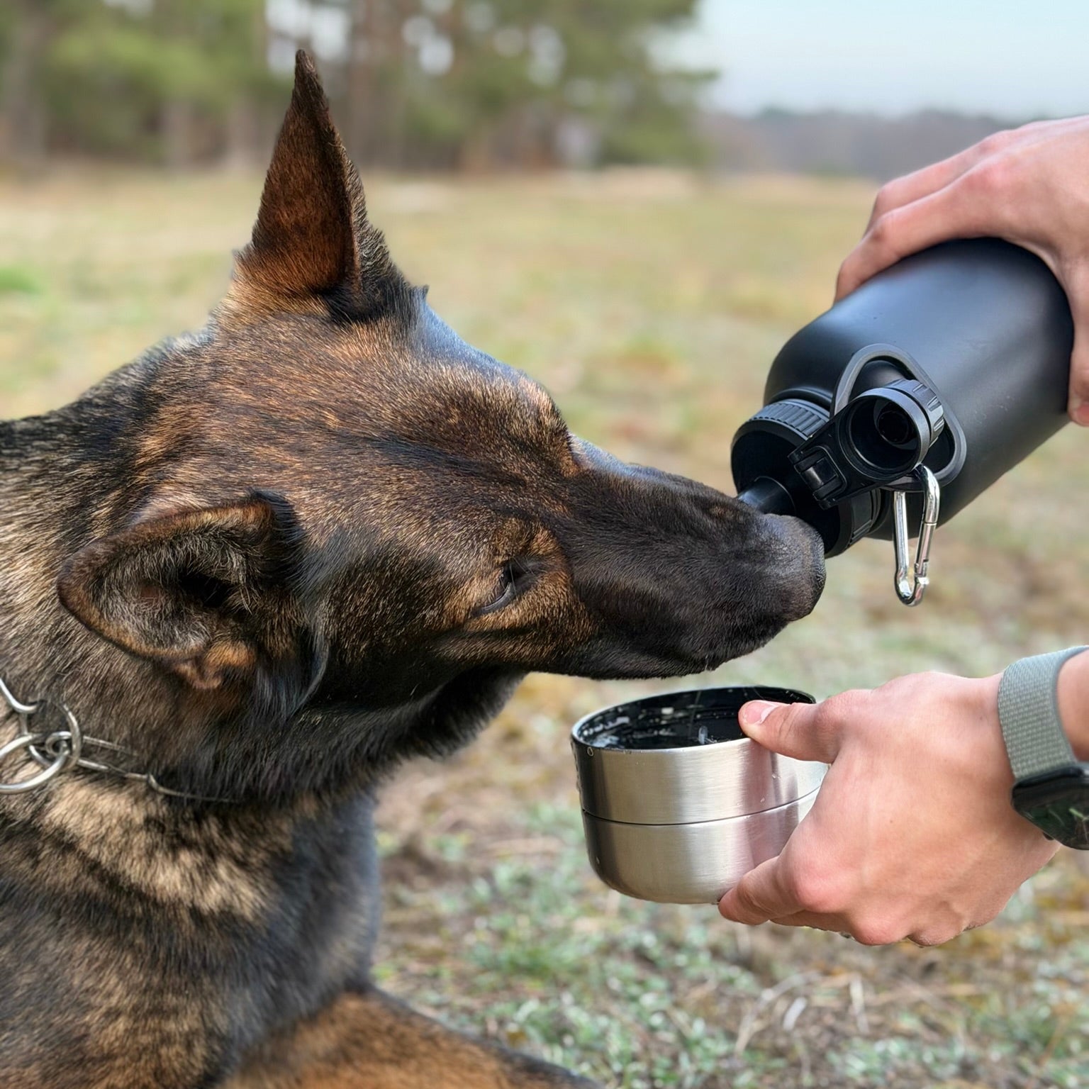 Pawtainer Companion